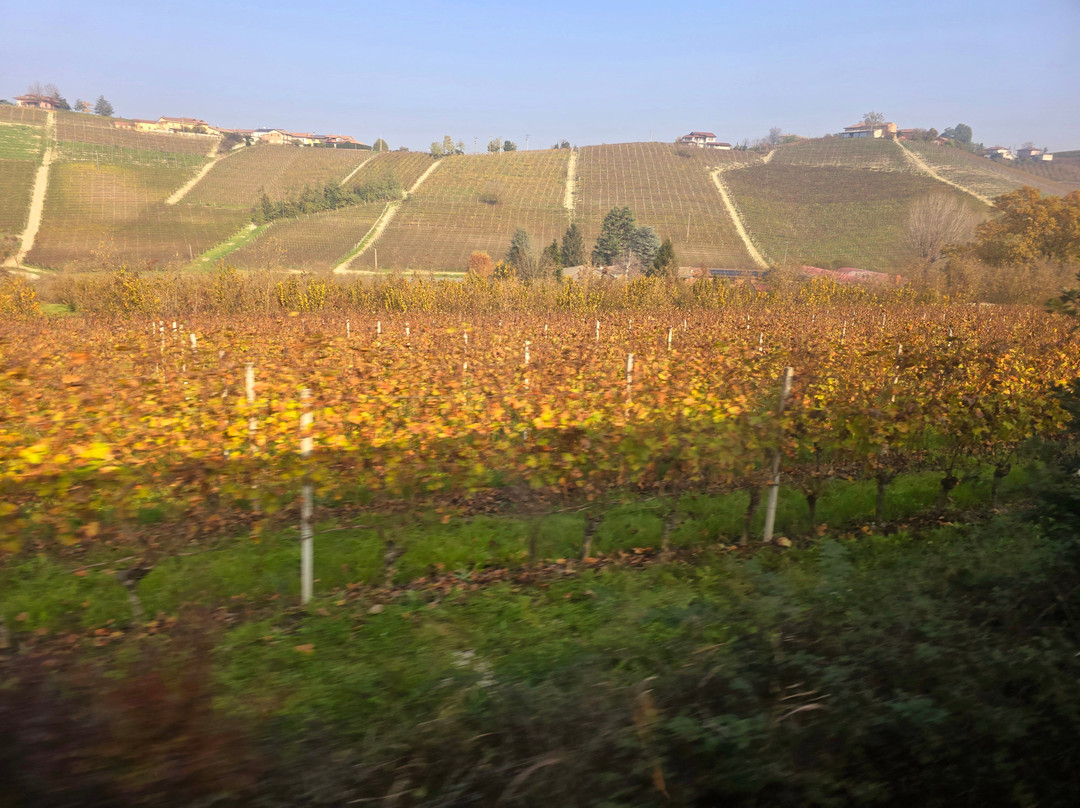 TrEno Langhe Monferrato Roero景点图片