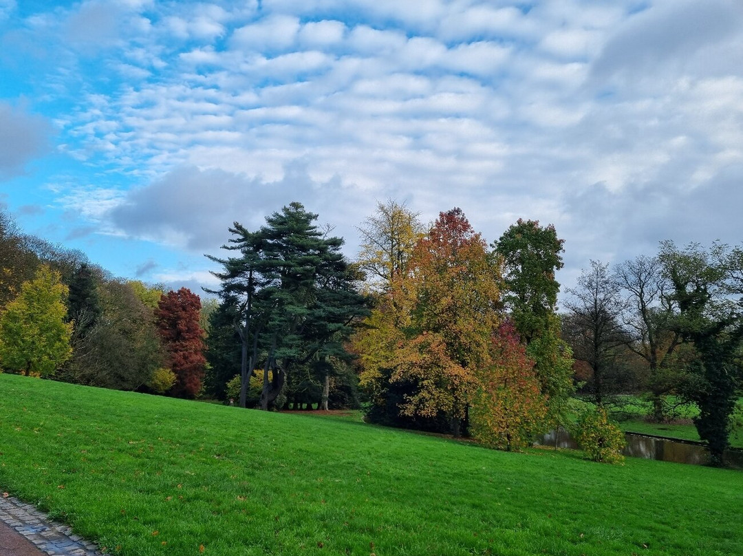 Parc Bivort Info | Charleroi景点图片