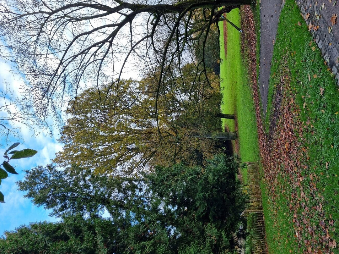 Parc Bivort Info | Charleroi景点图片