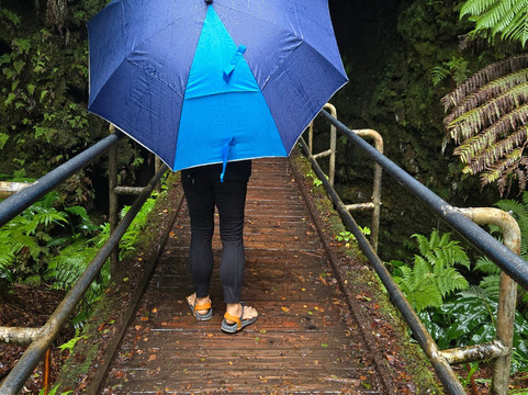 Aloha 'ike Tours-希洛必去景点