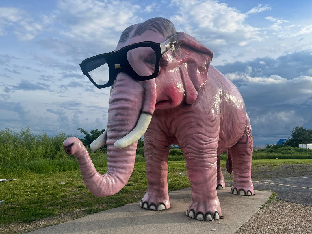 Pink Elephant-DeForest必去景点