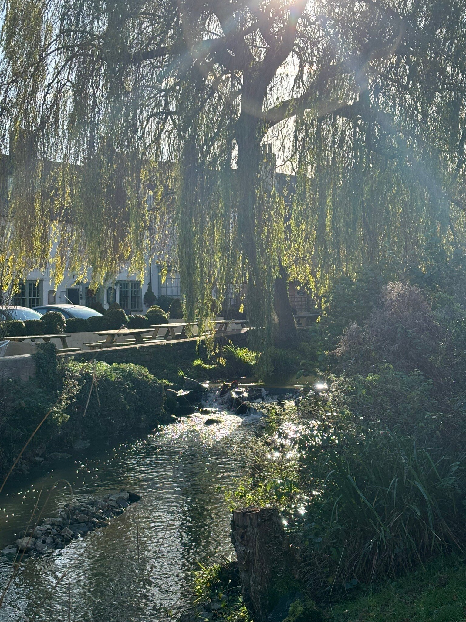 The George inn at Nunney-官方
