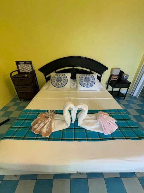 Habitation Pineau主图