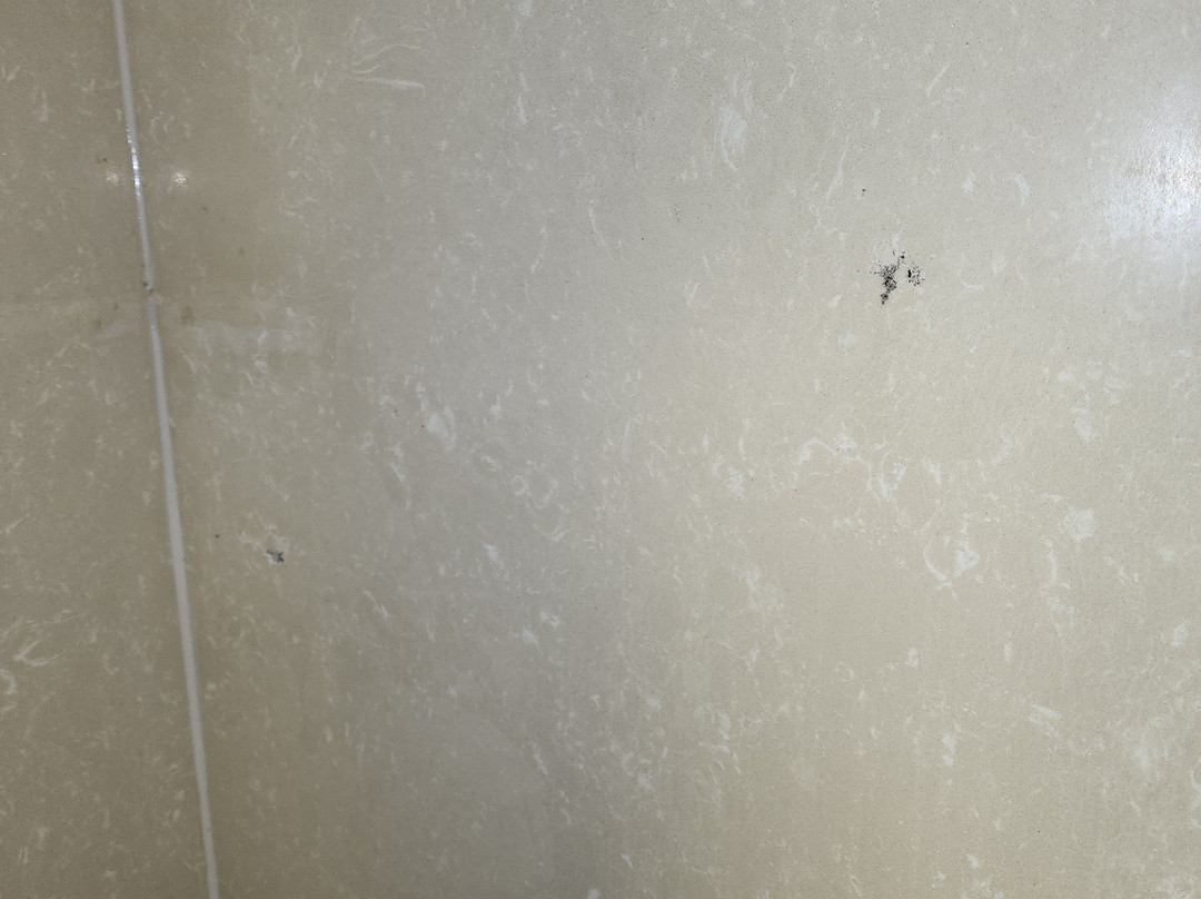 La Quinta by Wyndham-Clarksville主图