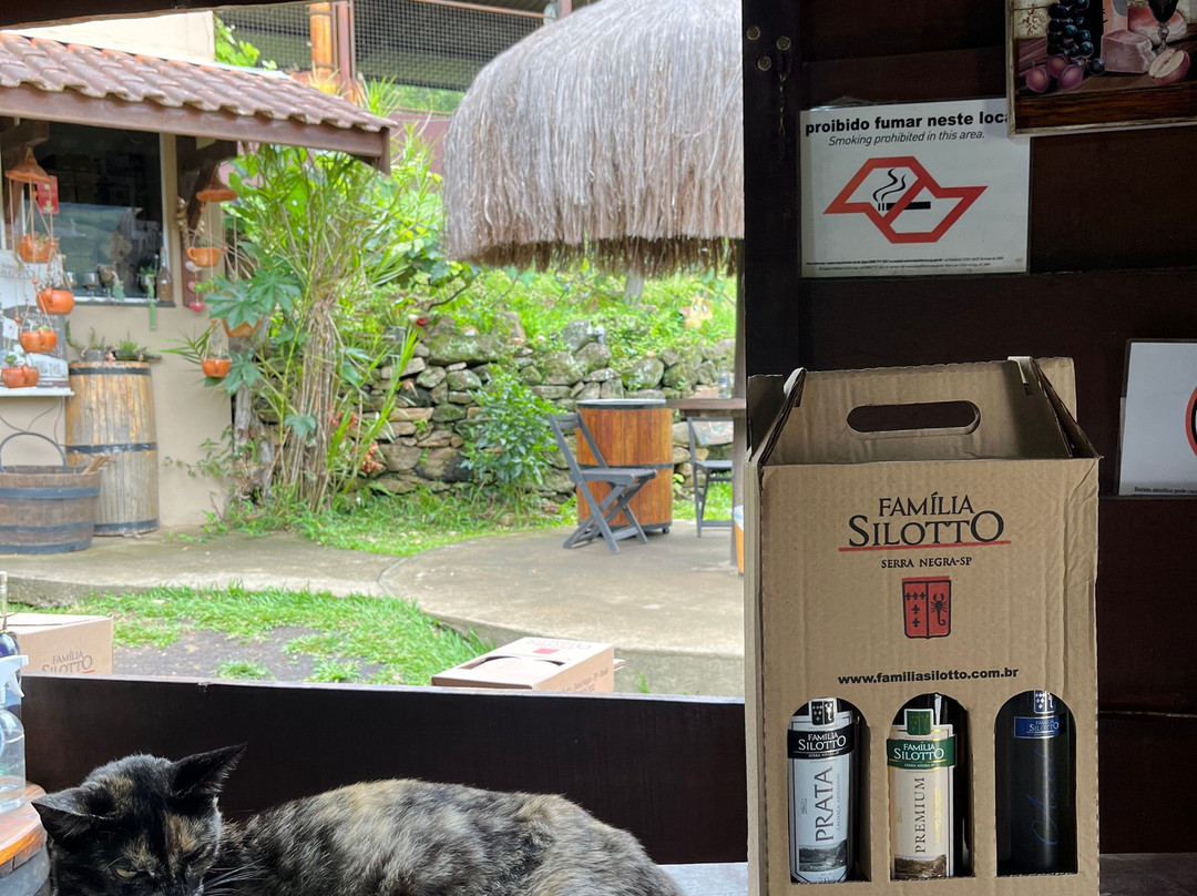 Vinícola Família Silotto-塞拉内格拉必去景点