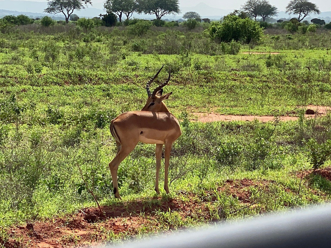 Kifola Safaris-瓦塔木必去景点