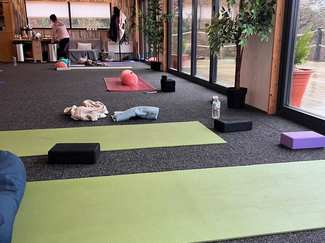 Mountain Yoga-卡迪夫必去景点