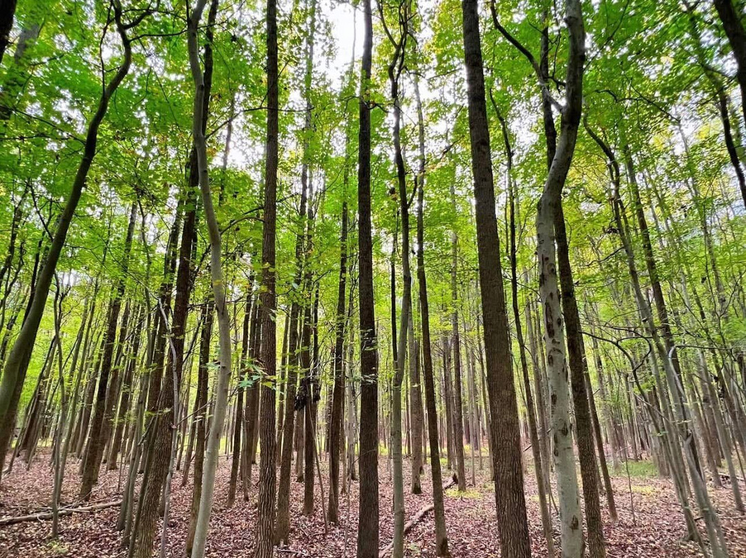 Marshy Point Nature Center景点图片
