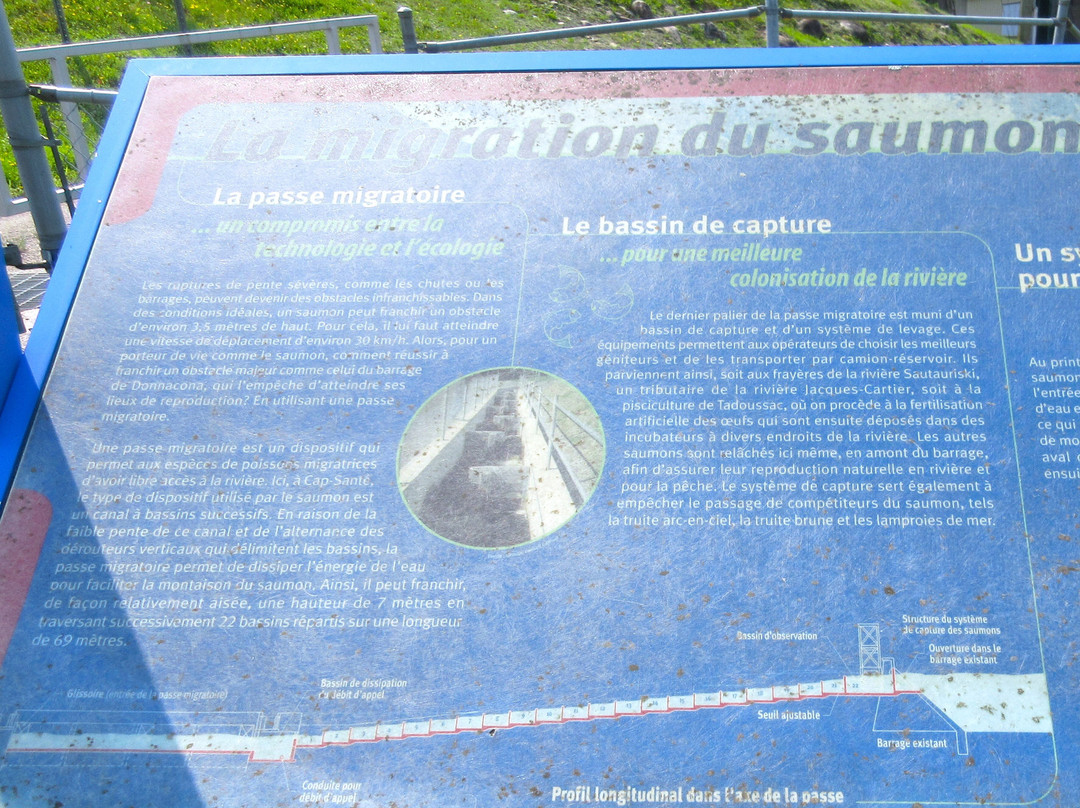 Passe Migratoire Cap Santé景点图片