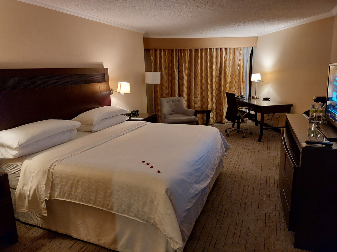 圣多明哥玫莉亚酒店主图