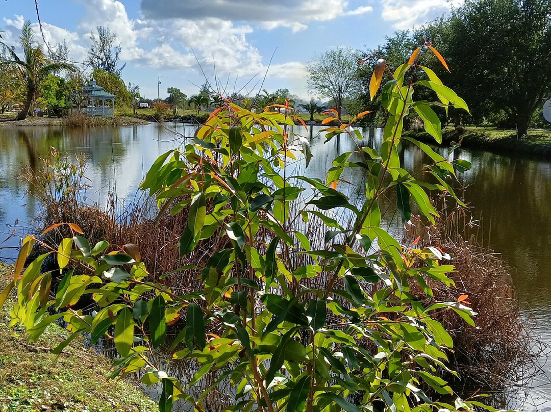 Palma Sola Botanical Park-布雷登顿必去景点