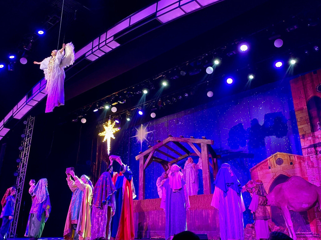 Christmas In The Dells Dinner Show景点图片