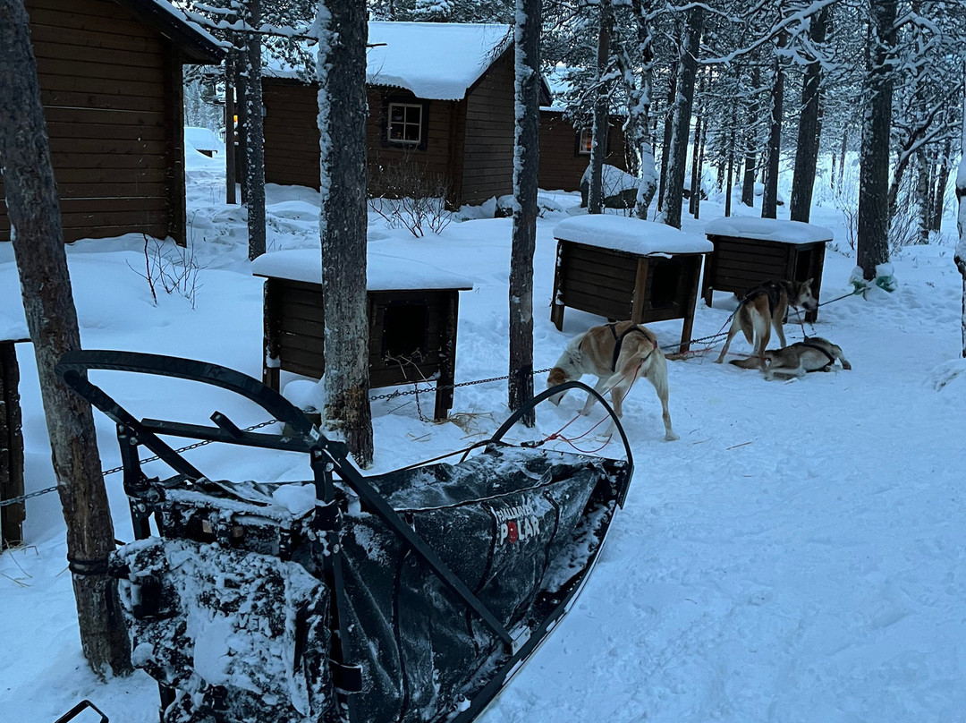 Active Lapland-基律纳必去景点