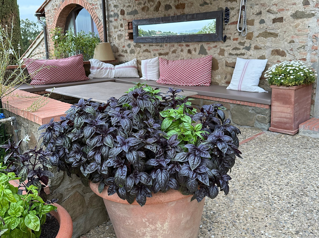 Agriturismo Casetta Firenze主图