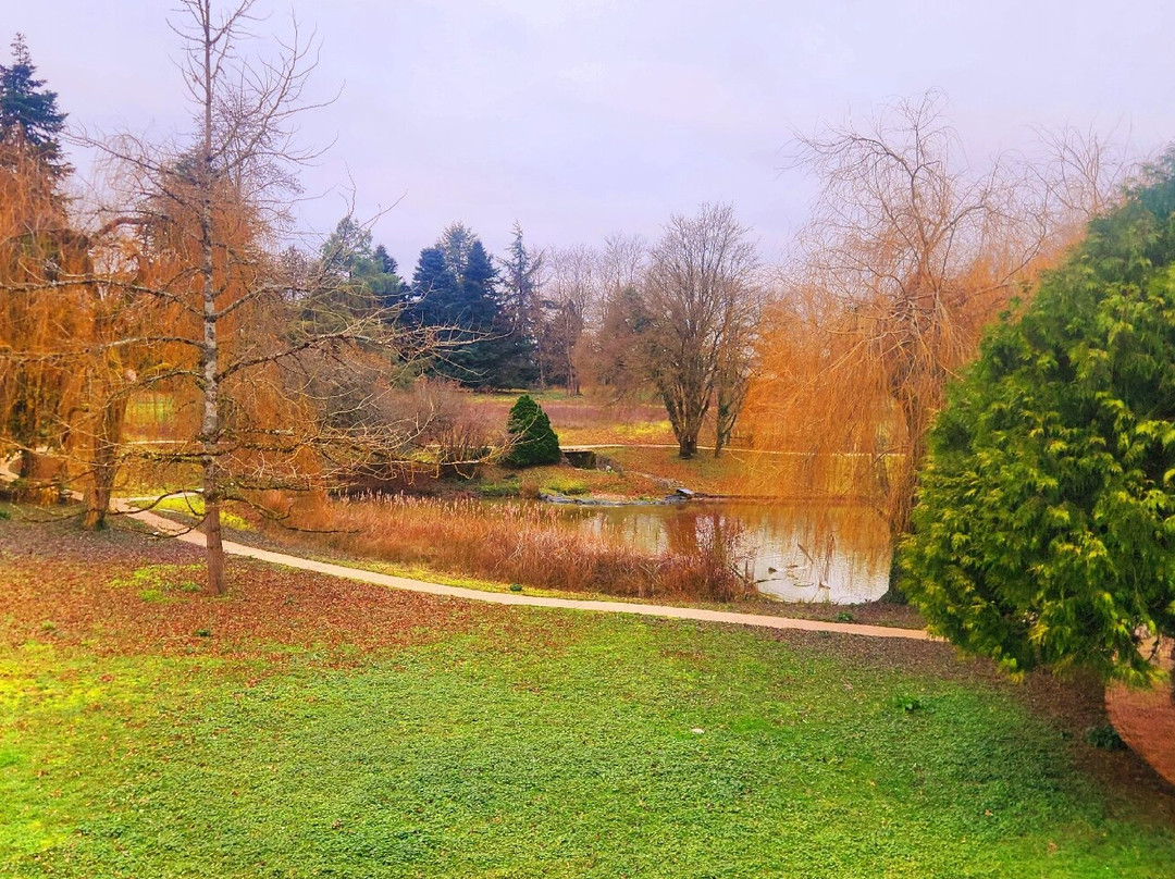 圣乔治森林驿站酒店主图