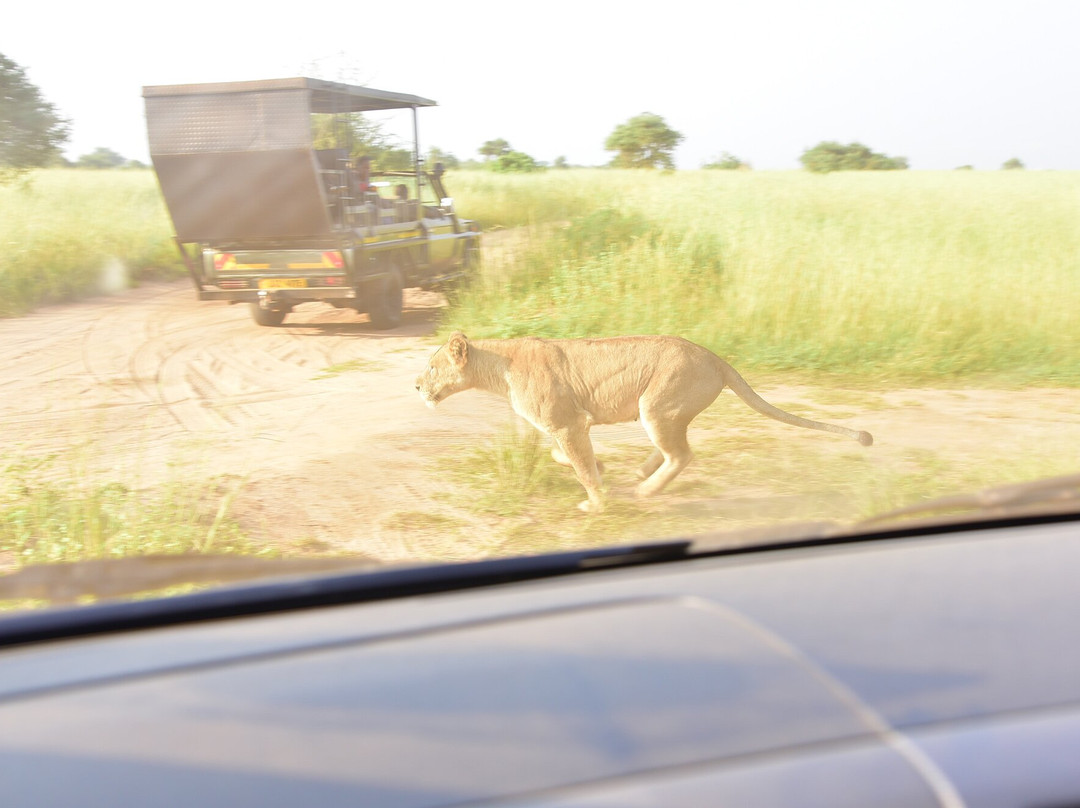 Likyadi Adventures-坎帕拉必去景点