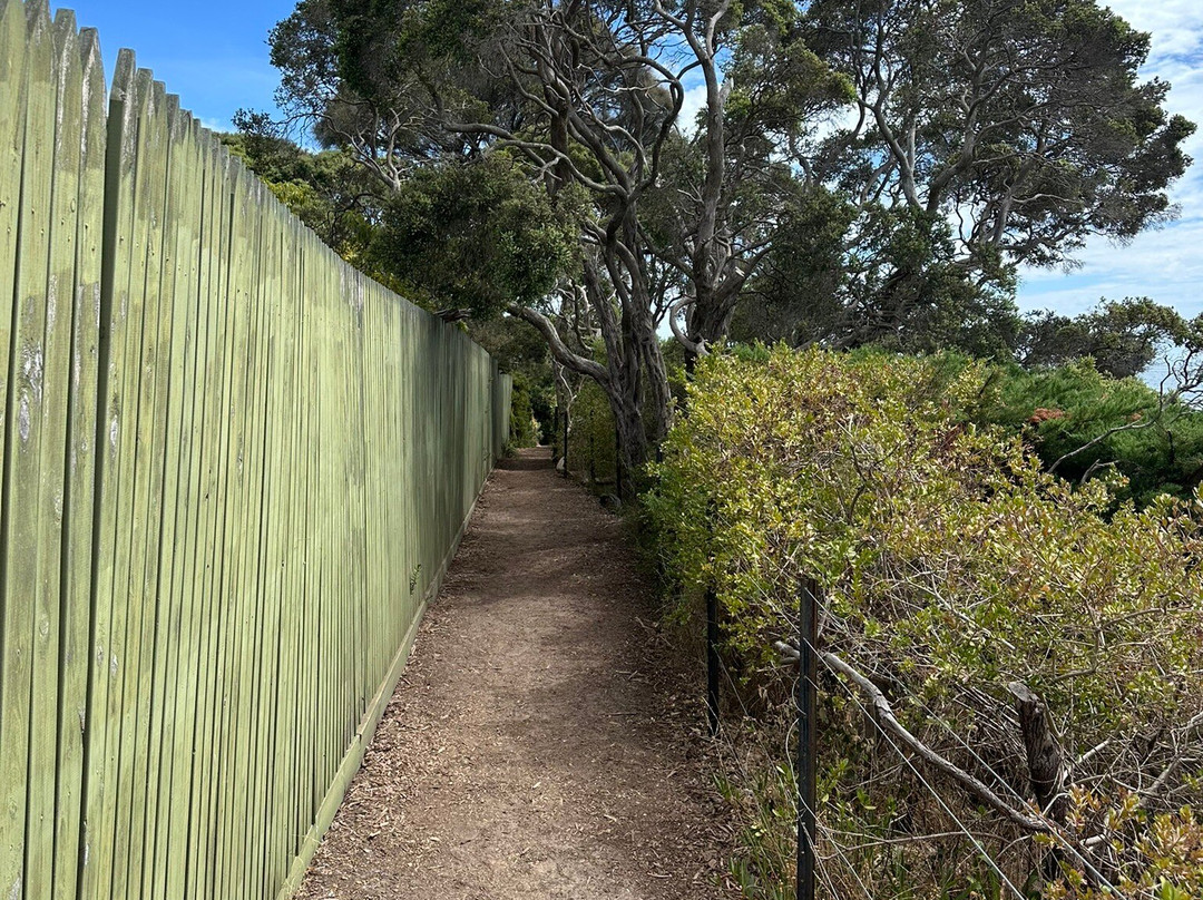 Sorrento Portsea Artists Trail景点图片