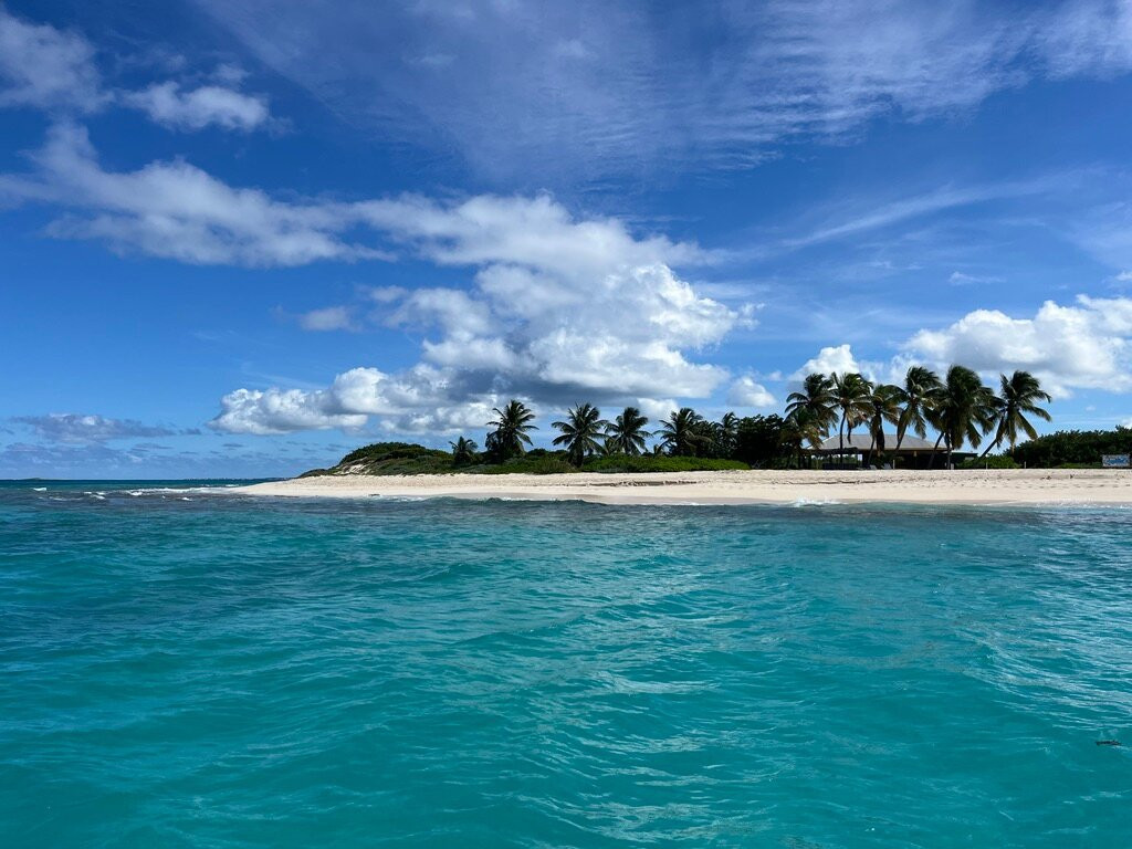 Special 'D' Diving & Charters-West End Village必去景点