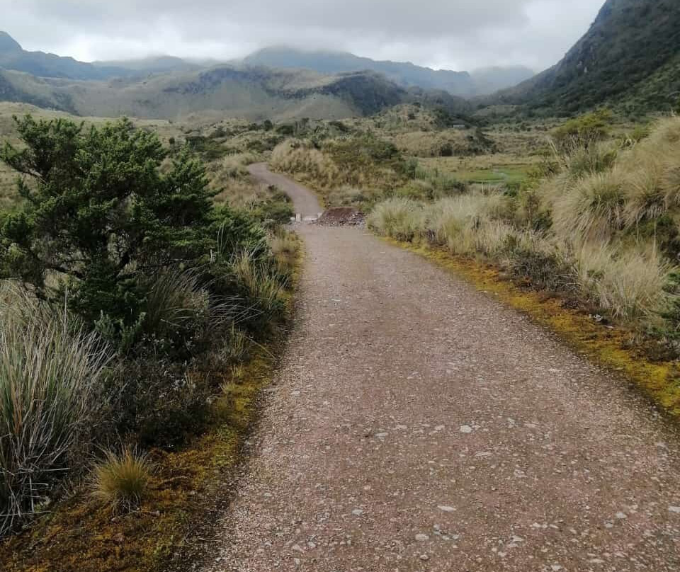 Parque Nacional Cayambe - Coca-Cayambe必去景点
