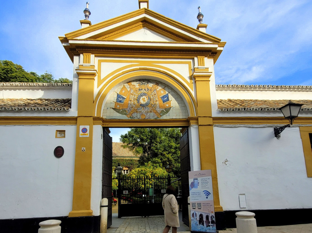 Palacio De Las Duenas-塞维利亚必去景点
