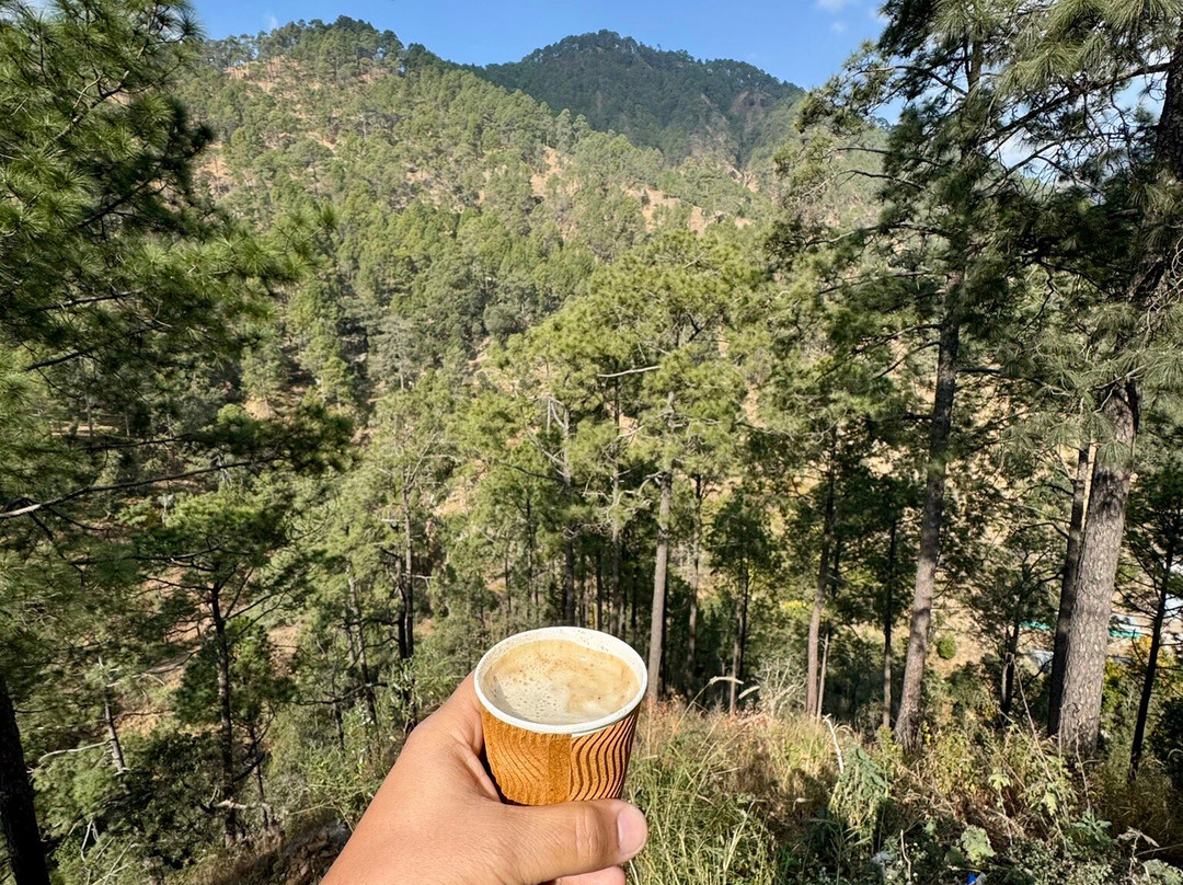 Binsar Wildlife Sanctuary景点图片