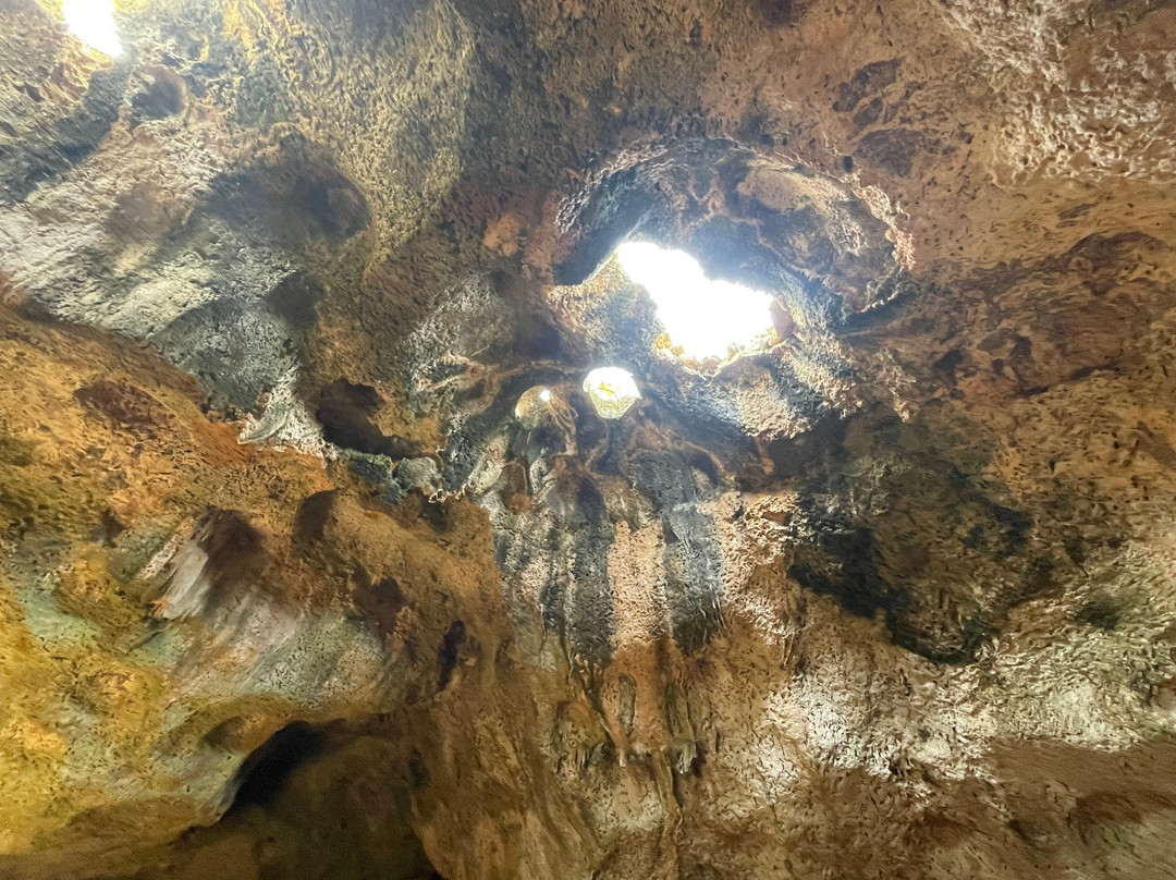 Isla Aruba Private Tours-奥腊涅斯塔德必去景点