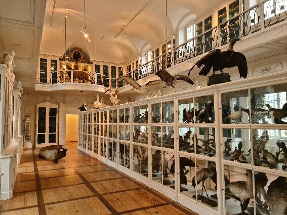 Naturkunde-Museum Bamberg-班贝格城必去景点