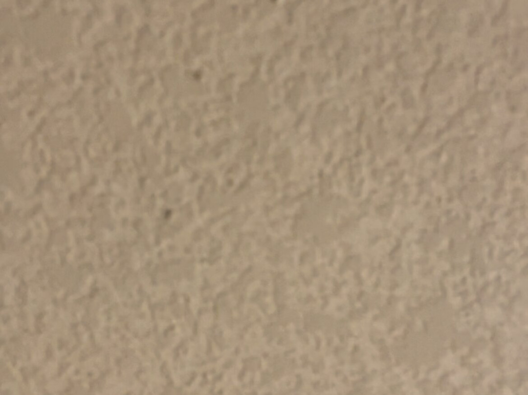 Home2 Suites By Hilton Lakeland South Polk Parkway主图