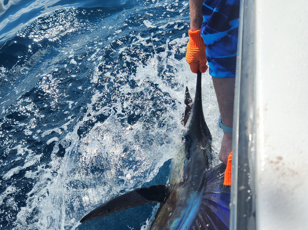 Quepos Fishing-克波斯必去景点