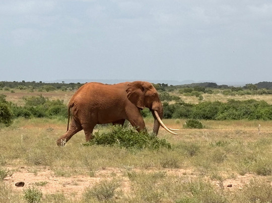 Sammy Safari Kenya-瓦塔木必去景点