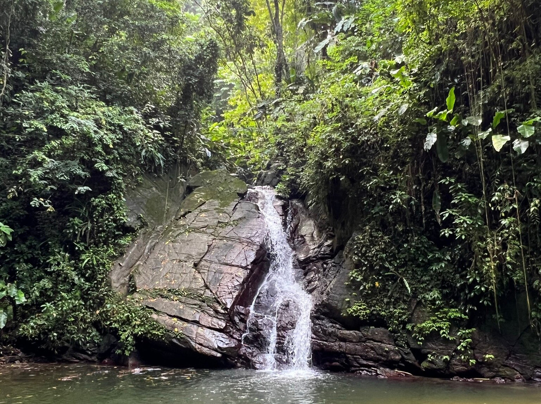 Castara Waterfall-Castara必去景点