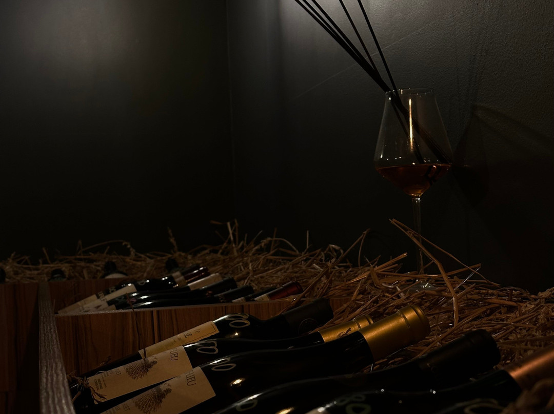 0901 Wine景点图片