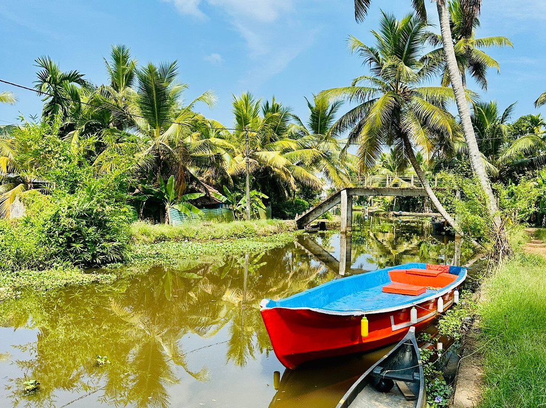 Green Palm Homes主图