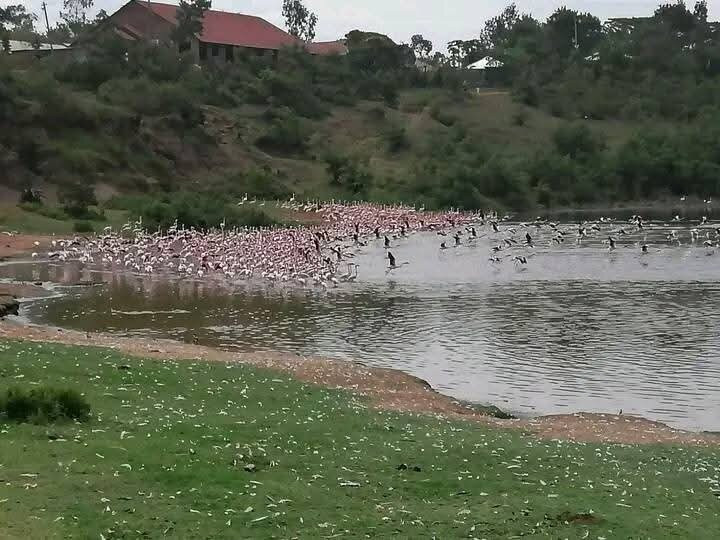 Lake Simbi Nyaima-Homa Bay必去景点