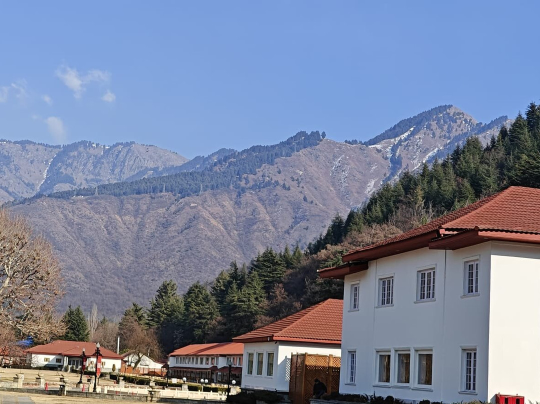 The Lalit Grand Palace Srinagar主图