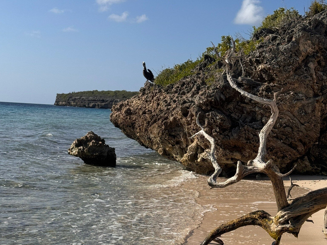 Landhuis San Nicolas-Soto必去景点