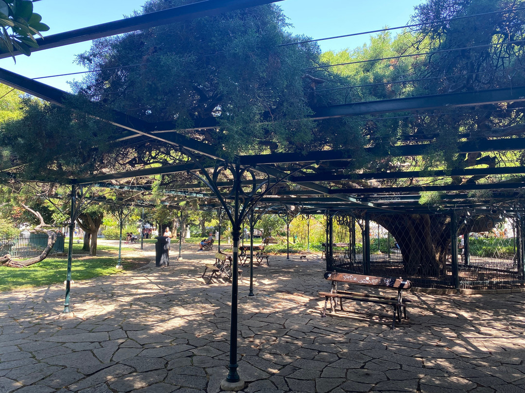 Praca do Principe Real-里斯本必去景点