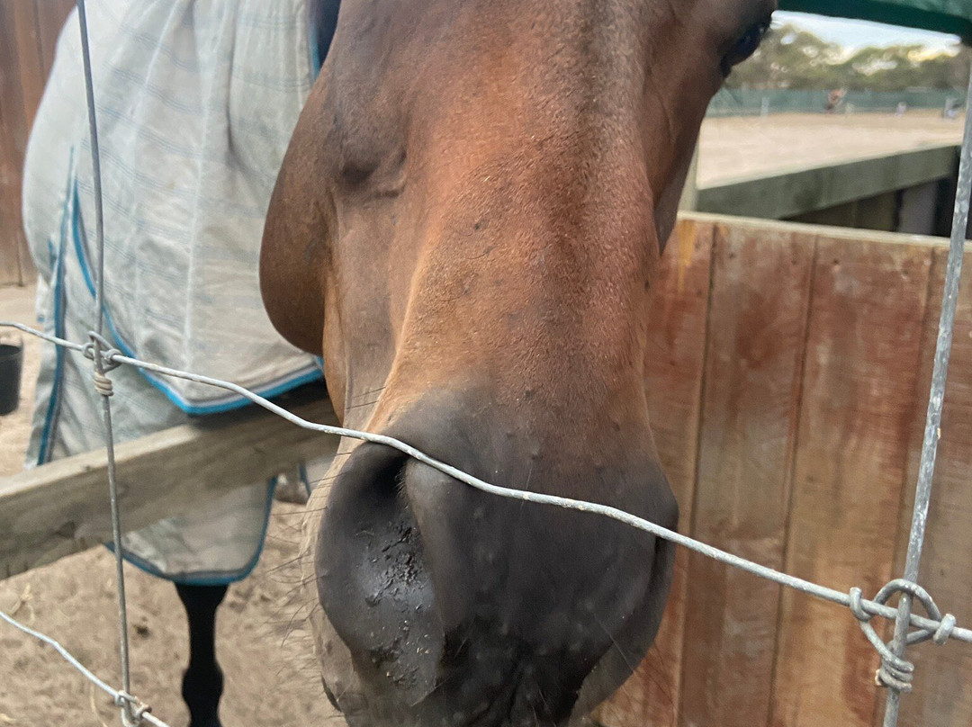 Goolwa Animal Farm-Goolwa必去景点