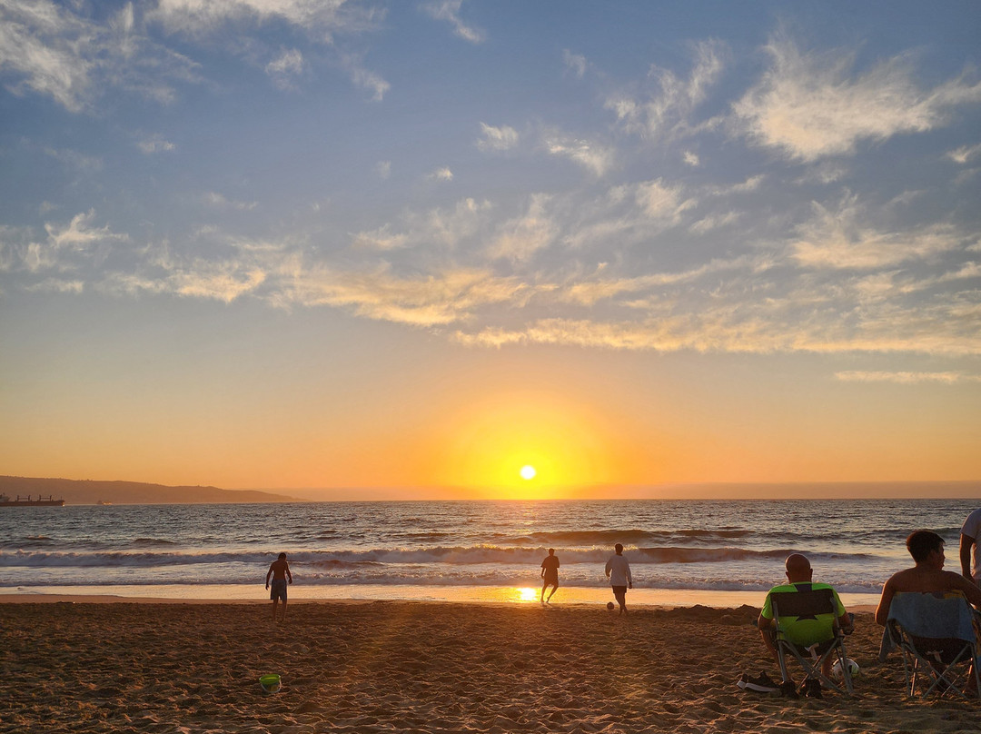 Playa Renaca-比尼亚德尔马必去景点