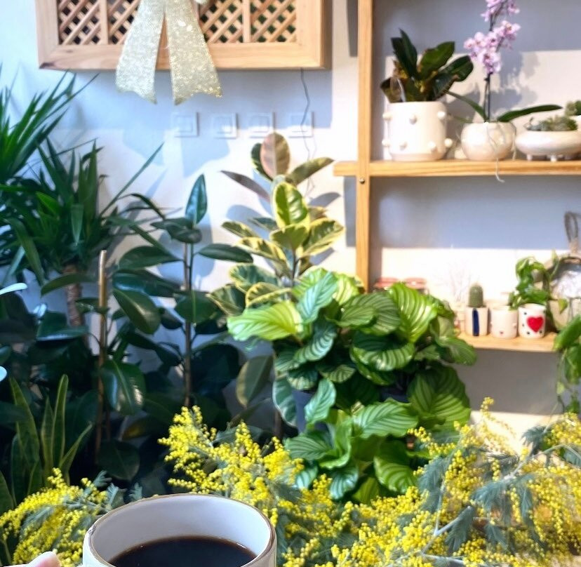 Chloris's Garden景点图片