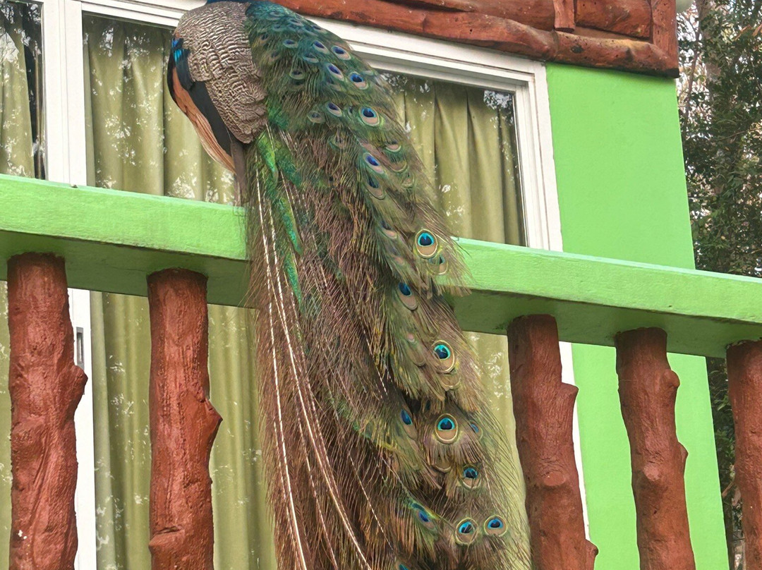 Wangjuntr Golf Park-旺珍必去景点