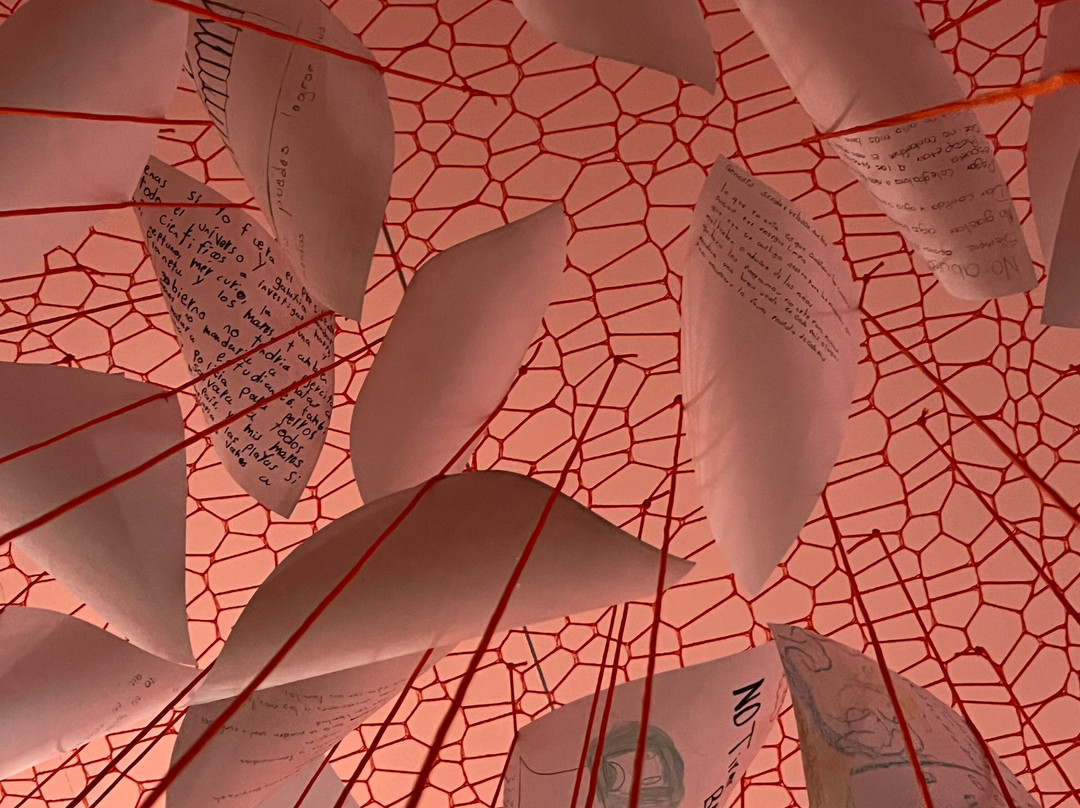 Vidasurf Ecotours-埃斯孔迪多港必去景点