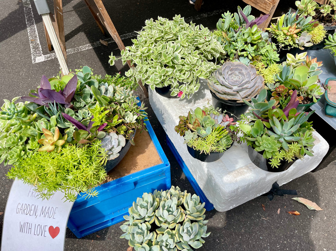 Rozelle Collectors Market-罗泽尔必去景点