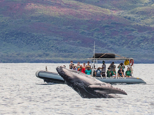 Hawai'i Ocean Rafting