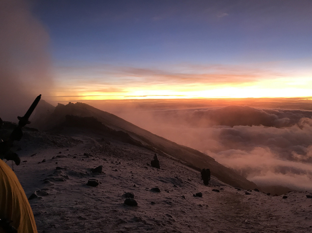 Jambo Kilimanjaro Voyage-莫西必去景点