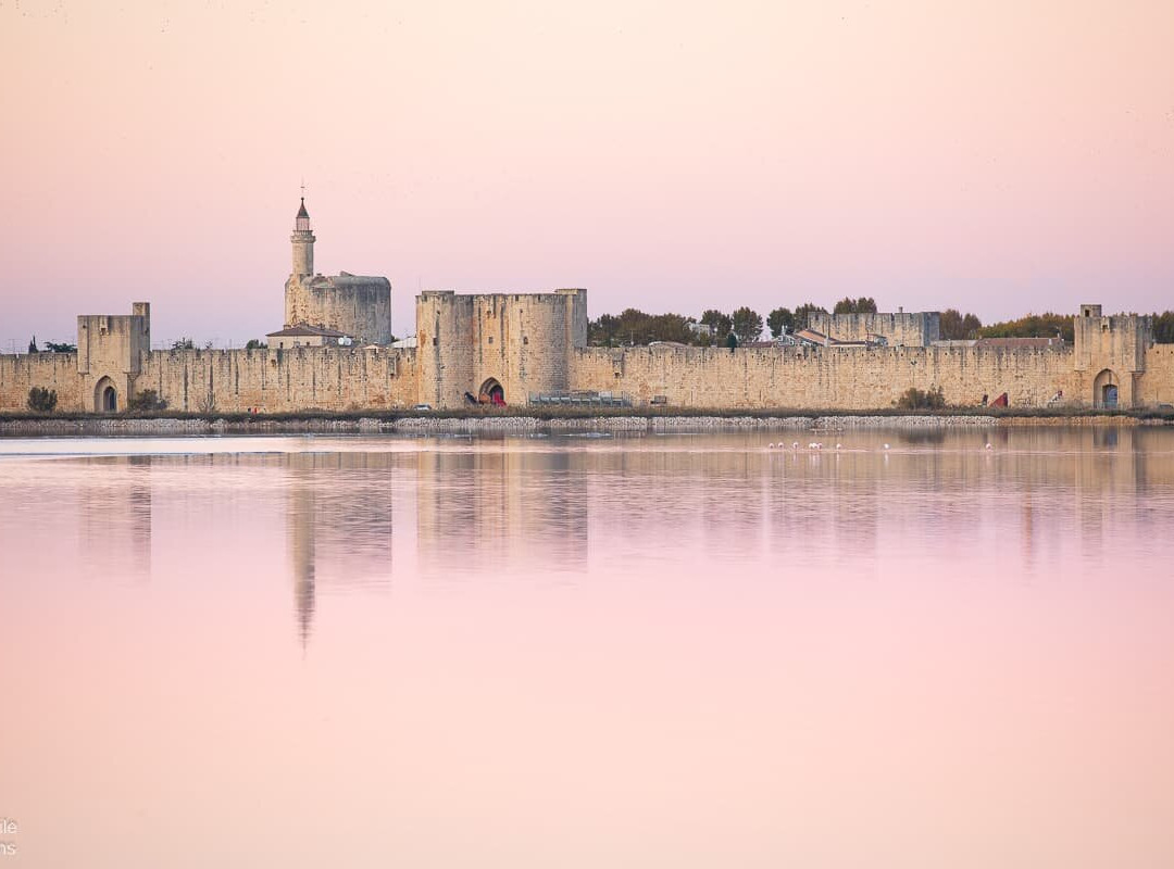 Office de Tourisme Aigues-Mortes景点图片