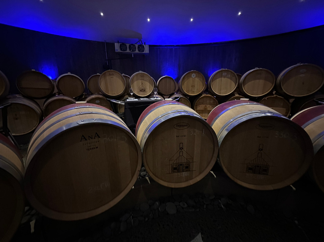 Boxwood Estate Winery景点图片
