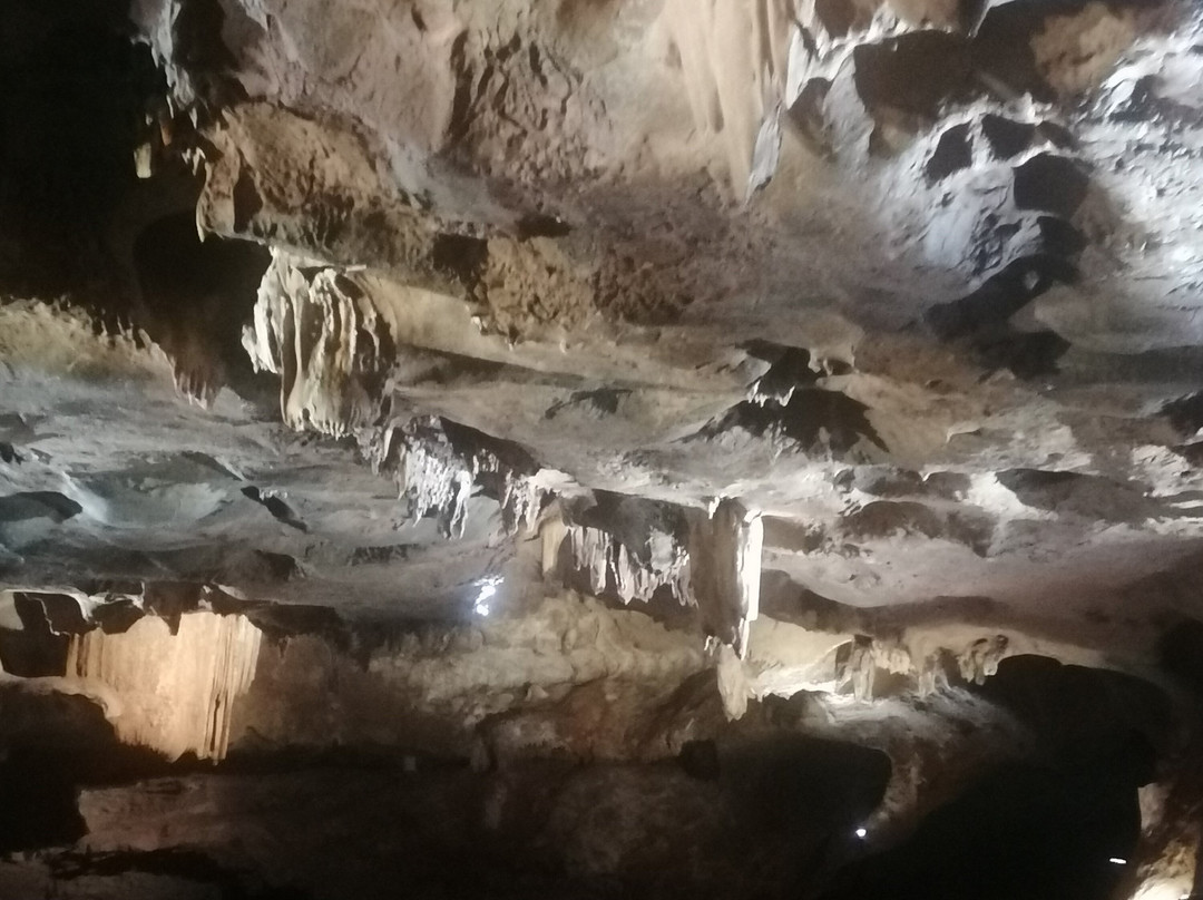 Viunatura景点图片