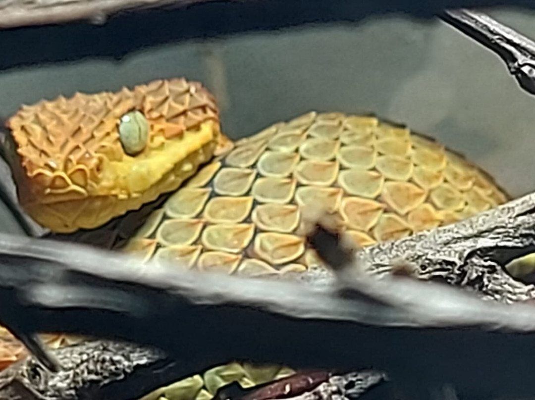 Reptilienzoo Nockalm-Patergassen必去景点