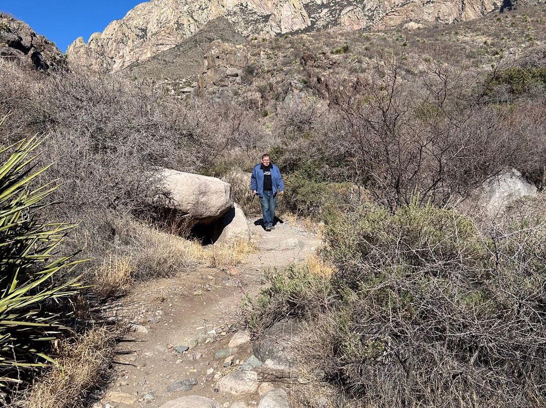 Organ Mountains-Desert Peaks National Monument-拉斯克鲁塞斯必去景点